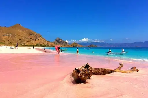 Pink Beach